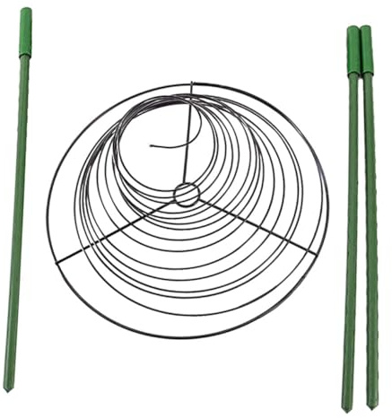 Toyvian 1 Ensemble Trellis de Jardin Spiralé pour Plantes Grimpantes Support de Vigne pour Pots Extérieurs Durable Facile à Installer pour Décoration de Jardin