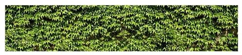 Scenolia Brise Vue imprimé VIGNES Vierges, 500 x 100 cm (LxH), 100% occultant, Made in France Colliers de Fixation offerts