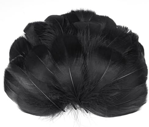 AOOTE 350pcs Feathers for Crafts Black, 6-12cm Black Feathers Bulk,Natural Goose Feather, Assorted Craft Feather, Decorative Set for DIY Dream Catcher, Gift Box Filling, Wedding, Party Decorations