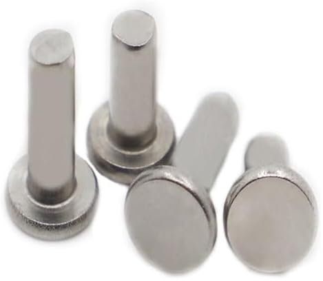 Bulloni dadi quadrati, 5/10/20/50 pezzi M2 M2,5 M3 M4 M5 M6 GB109 Rivetti a testa tonda piatta Rivetti a innesto Bulloni a chiodo in acciaio inossidabile 304(M2 50pcs,8mm)