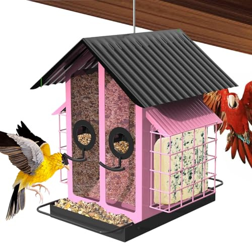 Yonuaret s para Pájaros De Exterior - Suministros para Aves A Prueba De Ardillas Y Resistentes Al Clima | para Pinzones | para Jardín Patio Balcón Terraza Porche Árbol Valla Ventana Observación En El