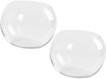 RORPOIR 2 Stücke Glas Hydrokultur Blumentopf Kreative Vase Für Desktop Decor Blume Vase Blumentopf Home Office Hotel