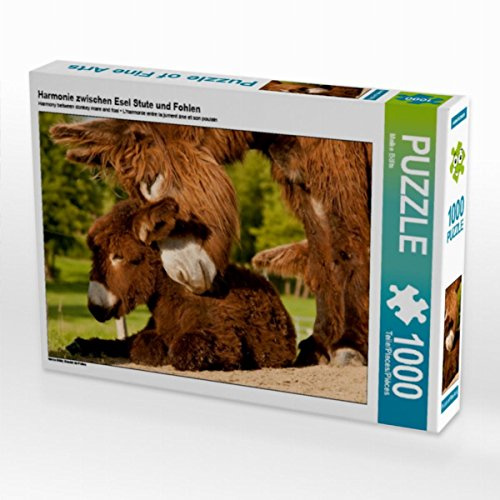 CALVENDO Puzzle Harmonie zwischen Esel Stute und Fohlen 1000 Teile Puzzle quer | Lege-Größe cm Foto-Puzzle für glückliche Stunden