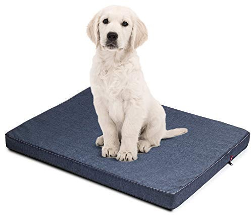 BOUTIQUE ZOO Hundematratze für Hunde | L: 100 x 75 x 6 cm | Hundesofa Hundekissen Hundematte für groß und klein | Codurastoff | Elegant | Waschbar | Farbe: Blau