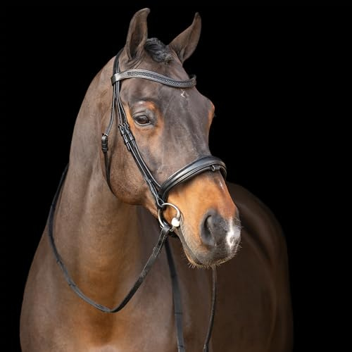 Imperial Riding Zaumzeug IRH mit englischem Reithalfter, Strass-Stirnband und gepolstertem Genickstück, Leder, Schwarz-Schwarz, Pony