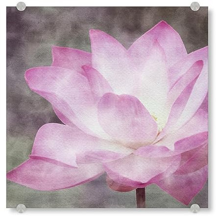 artboxONE Acrylglasbild 20x20 cm Natur Rosa Lotusblume Bild hinter Acrylglas - Bild Zen Blumen Lotus