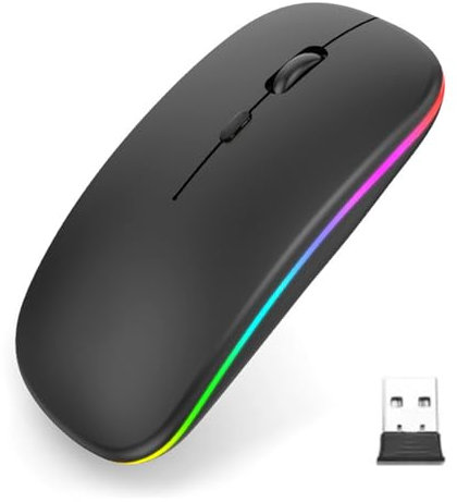 NHQZ Souris sans Fil Rechargeable Souris rétroéclairée de 7 Couleurs avec Mini récepteur USB de 2,4 GHz Souris Gaming Compatible avec Ordinateur Portable PC Ordinateur(e)