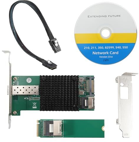 LA BAIESO Scheda di Rete per Server M.2 10G M.2 M X520-DA1 10G + Scheda di Rete per Server per Computer Industriale in Fibra Ottica Chip JL82599EN