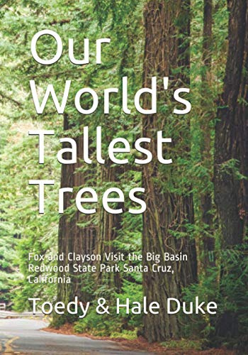 Our World's Tallest Trees: Fox and Clayson Visit the Big Basin Redwood State Park Santa Cruz, California
