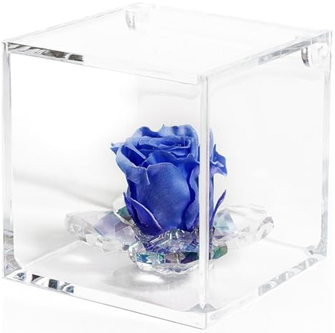 Debora Carlucci Rosa Stabilizzata Vera con 4 Petali in Cristallo Eterna in Cubo Idea Regalo Donna Compleanno Anniversario Matrimonio Festa della Mamma Bomboniera Blu-Bianco-Rosa-Rossa (Blu)