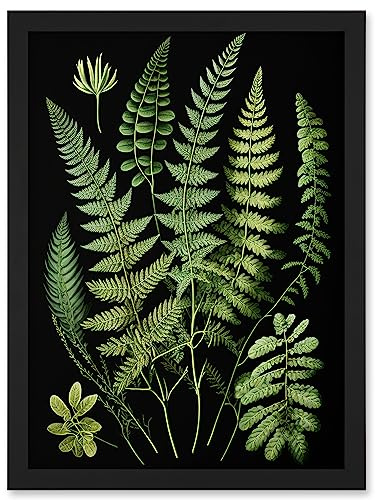 Artery8 Fern Fronds Detailed Leaves Botanical Illustration Artwork Framed A3 Wall Art Print