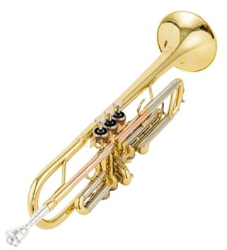 Musikinstrument Trompete Professioneller Unterricht Für Anfänger Der Tricolor-Trompete Im B-Dur-Orchester