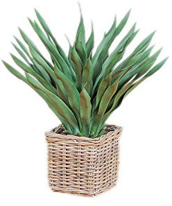 Artificial Agave Plant with 40 Green Leaves in Black Rigid Plastic Pot h. 70 cm