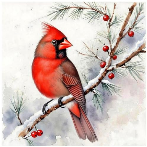 DIADAY 5D Diamond Painting for Adults Cardinal, Full Drill Diamond Art Kits for Adults, DIY Crafts and Arts Home Wall Decor Gift 12 x 12 Inches