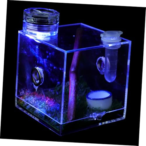 BESPORTBLE 2Er-Box Springspinnen-Zuchtbox Spinnen-Terrarium großes Terrarium Gehege Spinnenträger Spinnenfutterbox Spinnenbeobachtungsbox gehäuse Lebensraum der Spinne Spinnenfall Keramik