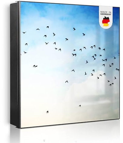 banjado Großer Schlüsselkasten Metall - Schlüsselbox 30x30cm beschreibbarer mit 32 Haken - Schlüsselkasten modern für Schlüsselaufbewahrung - Korpus Schwarz Scharnier Rechts - Motiv Vögel am Himmel 2