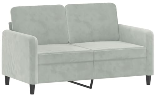 vidaXL Sofa 2-Sitzer, Loungesofa Couch mit Armlehnen Rückenkissen, Wohnzimmersofa Designsofa Metallgestell, Sitzmöbel Zweisitzer, Hellgrau Samt