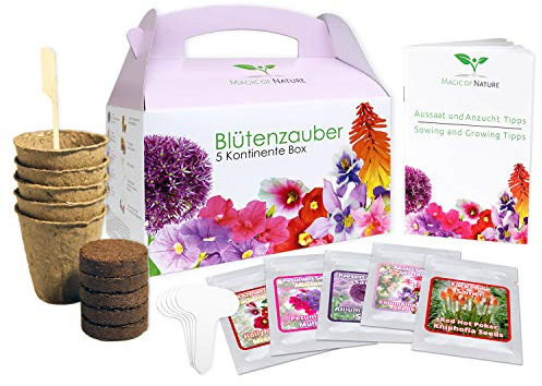Magic of Nature Geschenk Anzuchtset - Blütenzauber 5 Kontinente Box - zum Selberzüchten oder verschenken