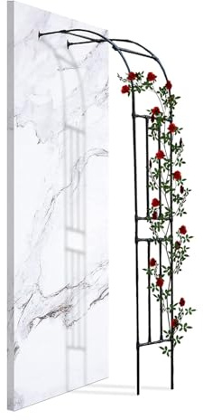 Arche de jardin pour rosiers grimpants, treillage en métal, pergola murale en acier, décoration de terrasse extérieure, 260 x 240 cm, structure de jardin pour jardins et cours