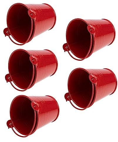TOYANDONA Maceta de Hierro para Suculentas Roja Retro 5 Piezas