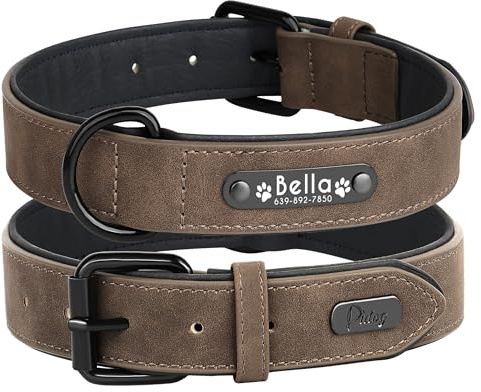Didog Hundehalsband, weiches, gepolstertes, Leder, mit personalisierbarem, graviertem Namensschild, D-Ring. Für kleine und mittelgroße Hunde geeignet.