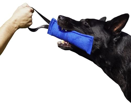 DINGO GEAR Bite Tug Toy for the Dog Training, K9, IGP, Schutzhund, Blind Search, Prey Drive, Fetch, Play, Handmade of Sturdy Nylcot, 1 Handle, Blue, Size - L (S00061)