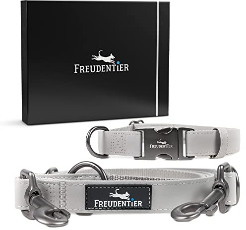FREUDENTIER Hundehalsband mit Hundeleine 2m Set - Veganes Leder - 30-40cm | Hundeleine verstellbar für kleine & mittelgroße Hunde - Inkl. Geschenkbox - Pflegeleichtes Microfaserleder - 2cm breit