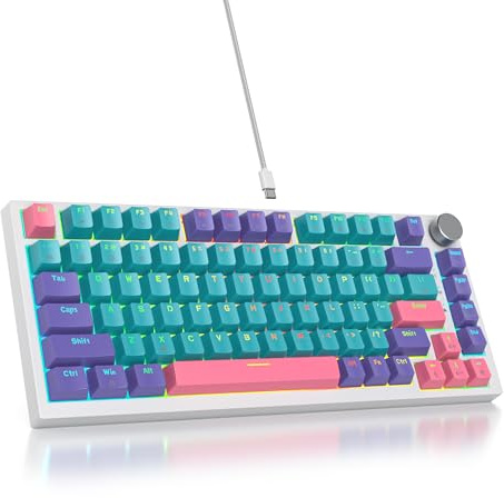 SOLIDEE Verkabelte Mechanische Gaming Tastatur 75%,hot-swap-fähige mechanische Tastatur Gasket,RGB Hintergrundbeleuchtung,QWERTY 82 Tasten TKL Gaming Tastatur,NKRO Tastatur mit Drehknopf(82 Joker)