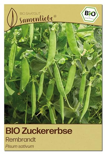 Samenliebe BIO Zuckerebsen Samen | Erbse Rembrandt - robust & kletternd - samenfestes BIO Saatgut