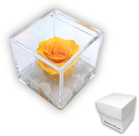OneFlower by PREMIUM ROSE - Cubo Rosa Stabilizzata Gialla 5 cm con Marmo di Carrara - Rosa Eterna Stabilizzata Made in Italy - Idea per Amici, Colleghi e Bomboniere - Giallo A 1053
