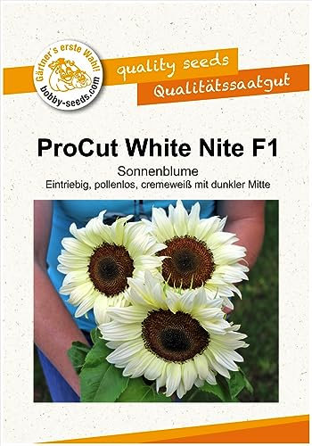 ProCut White Night F1 Sonnenblumensamen von Bobby-Seeds Portion