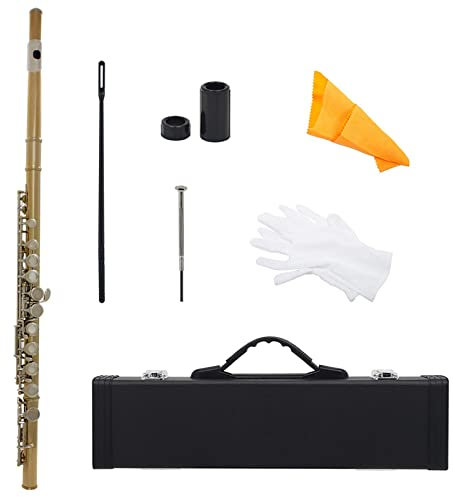 TSTS 16-Loch-C-Key-Flöteninstrument Mit Koffer, Rucksack, Reinigungsstäbchen, Wischhandschuhen, Flötenzubehör Einsteiger Querflöten (Color : 02)