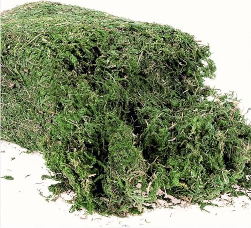 300g Artificial Moss - 10.6 Ounce Floral Decorative Fake Fresh Green Moss for Potted Plant Centerpieces, Terrariums, Decor, Life-Like Garden Lawn Grass