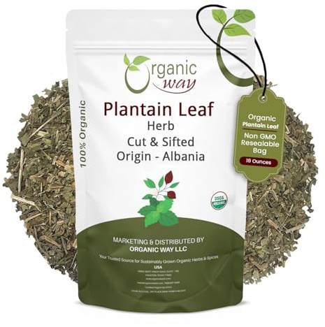 Organic Way Plantain Leaf Cut and Sifted - Herbal Tea | European Wild-Harvest | Organic & Kosher Certified | Non GMO & USDA Certified - Origin Albania (16 Ounce Pack)