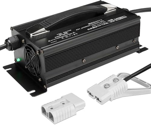 HYDTGZ Chargeurs de Batteries Plomb Acide 12 V/24 V/36 V/48 V/60 V/72 V pour Transpalettes Électriques, Chariots Élévateurs et Autolaveuses,24v 30a