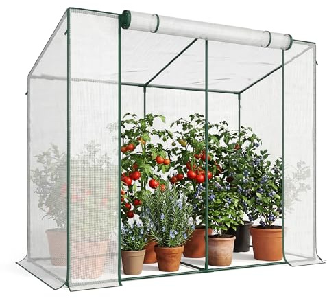 Gewächshaus - Begehbarer Tomatengewächshaus - 200x100x170 cm Foliengewächshaus für Pflanzen - Stabil, UV-Beständig, Optimales Pflanzenwachstum - Frühbeet, Gemüse, Blumen, Obst