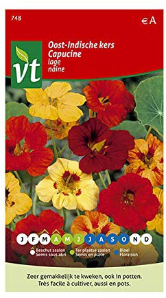 Capuchina de jardín, berro de indias Colores mixtos - semillas de flores