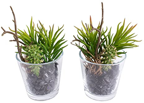 Nova-Nature künstliches Sukkulenten und Kakteen Arrangement im Glas (2 Stück) (grün)