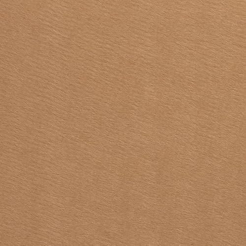 1 Meter Filz Bastelfilz 3 mm Dick / 90 cm Breit Taschenfilz Dekorationsfilz Meterware 26 Farben (Beige)