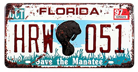 Eureya FLORIDA HRM 051 Auto License Plate Car Tag Home/Cafe Bar/Pub/Restaurant/Exhibition Wall Decor Vintage Plaque 6x12
