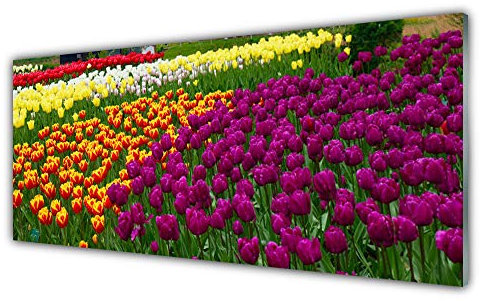 Tulup Acrylic Glass Print 125x50cm Wall Art - Wall Picture Plastic Acrylic Glass - Tulips Floral