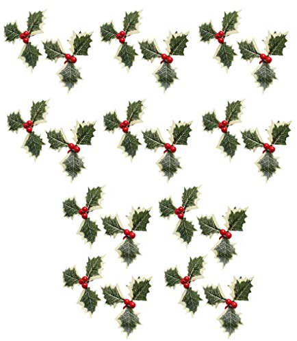 susiodeu 20 PZ 10 MM Agrifoglio Bacca Foglie Verdi Ornamento Simulazione Vivid Goffratura Solido per Secco Floreale Artigianato Festa Festival, Foglia di Frutta Rossa