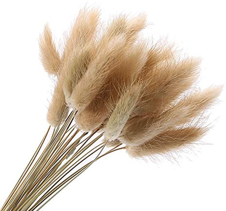 Bontannd 20pcs Secas Naturales Cola De Conejo Flor Hierba Ramos Racimos La Decoración del Hogar De 16 Pulgadas