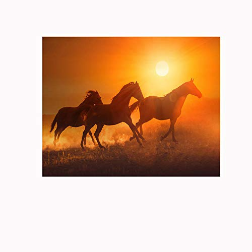 Fotomurales Caballo al atardecer300x200cm Decoración de Pared decorativos Murales moderna de Papel Pintado Sala Living Oficina Dormitorio