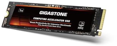 Gigastone HPC Computing M.2 SSD 1TB PCIe 4.0 NVMe SSD 5,000MB/s Host Speicherpuffer Cache beschleunigt Geschwindigkeitskodierung Big Data Intensive Arbeitslasten internes Solid-State-Laufwerk