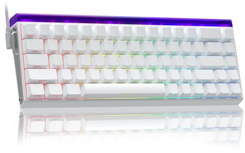 AULA Hero 68 Gaming Tastatur Mechanisch,Hall Effect Magnetic Switch,0.01mm Einstellbare Betätigung Rapid Trigger,8K Polling Rate,Seitlich Graviert,60% RGB Tastatur mit Kabel,QWERTY (Weiß)