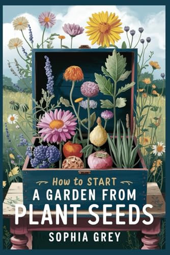 How to start a garden from plant seeds