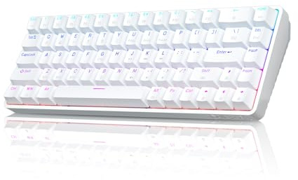 Dierya DK68 Tastiera Gaming Wireless,60% Tastiera Meccanica Bluetooth/2.4G/USB-C RGB,Interruttore Blu,Double-Shot ABS Keycaps Compatibile con Win/Mac, Bianco(Layout US,QWERTY)