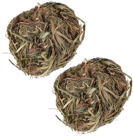 JOINPAYA 2 pièces Lapin Balle pour Dents Molar Grass Ball pour Rongeurs Divertissement et Soin Dentaire pour et Petits Animaux