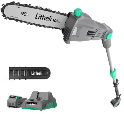 Litheli Cordless Pole Saw,10-Inch 40V Pole Saws for Tree Trimming, Electric Tree Saw for Branch Cutting, Pruning, 2.5Ah Battery& Charger Included
